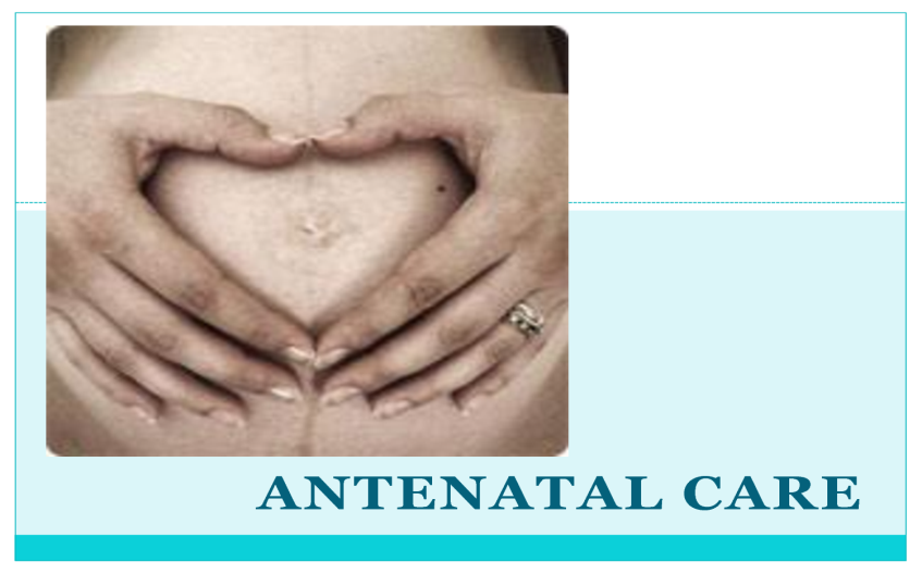 Ante Natal Care Image